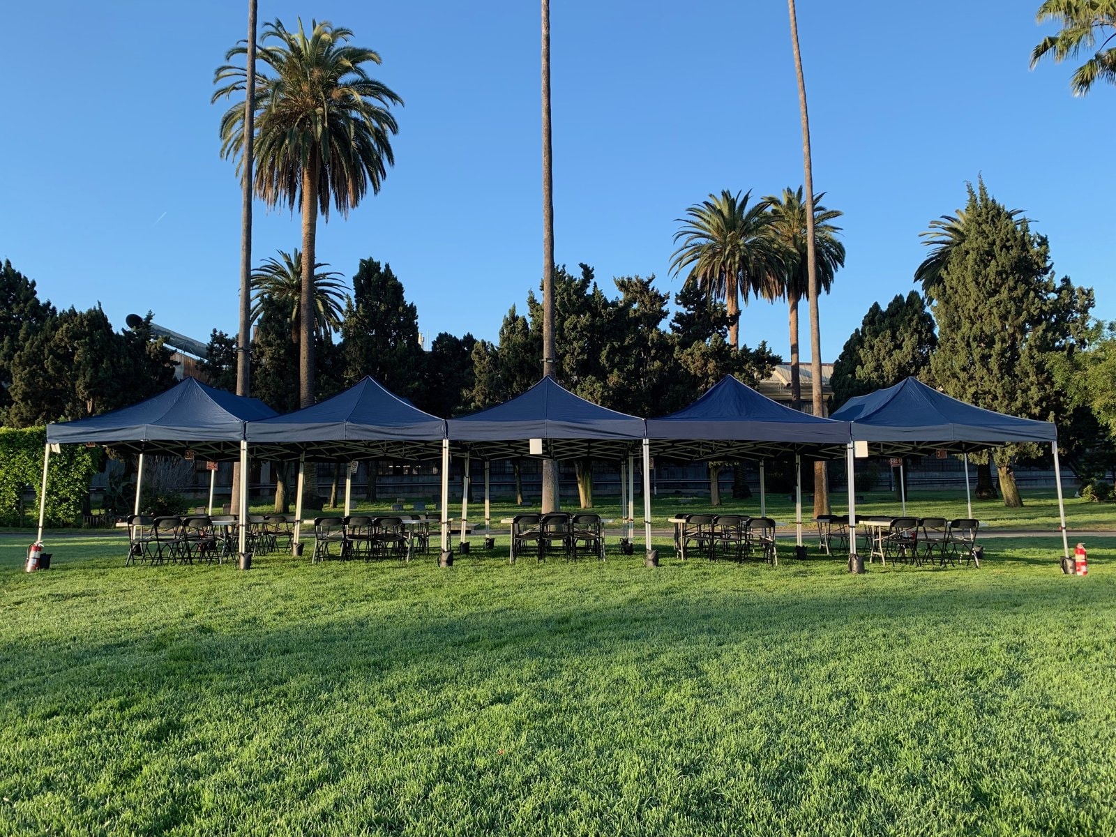 Outdoor lunch set-up with navy tents and palm trees